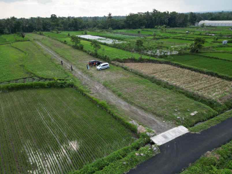 dijual tanah brengosan donoharjo