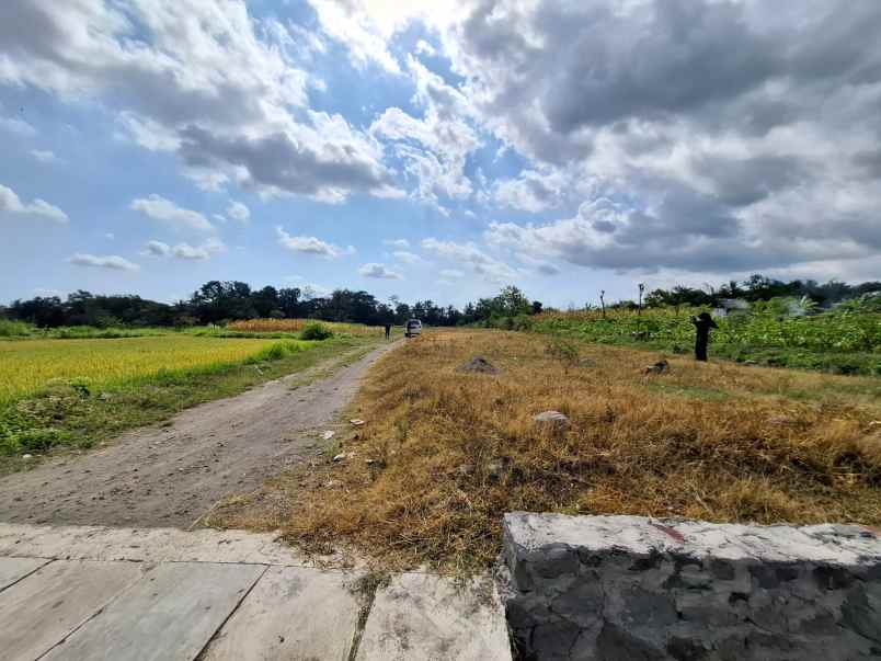 dijual tanah brengosan donoharjo ngaglik