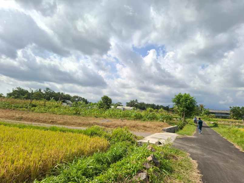 dijual tanah brengosan donoharjo ngaglik