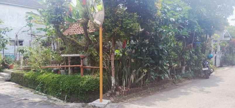 dijual tanah bumi asri