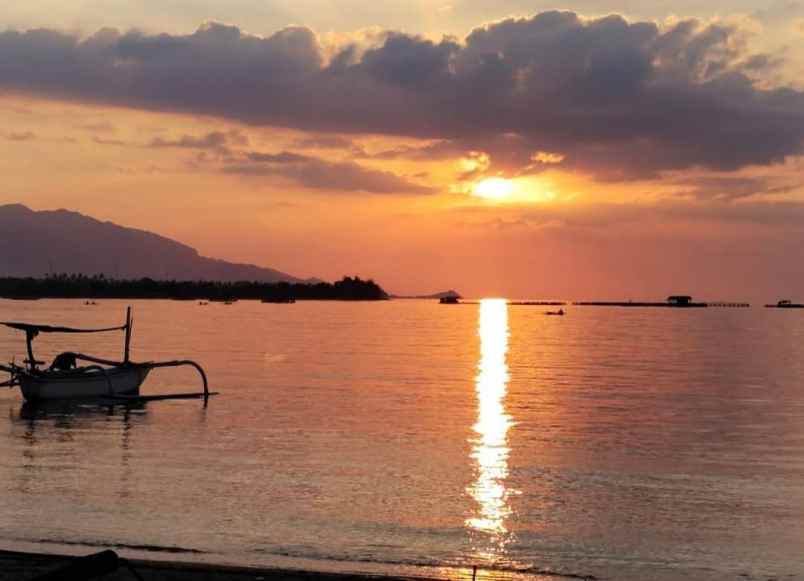 dijual tanah celukan bawang buleleng bali