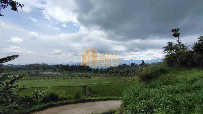 dijual tanah cijeruk