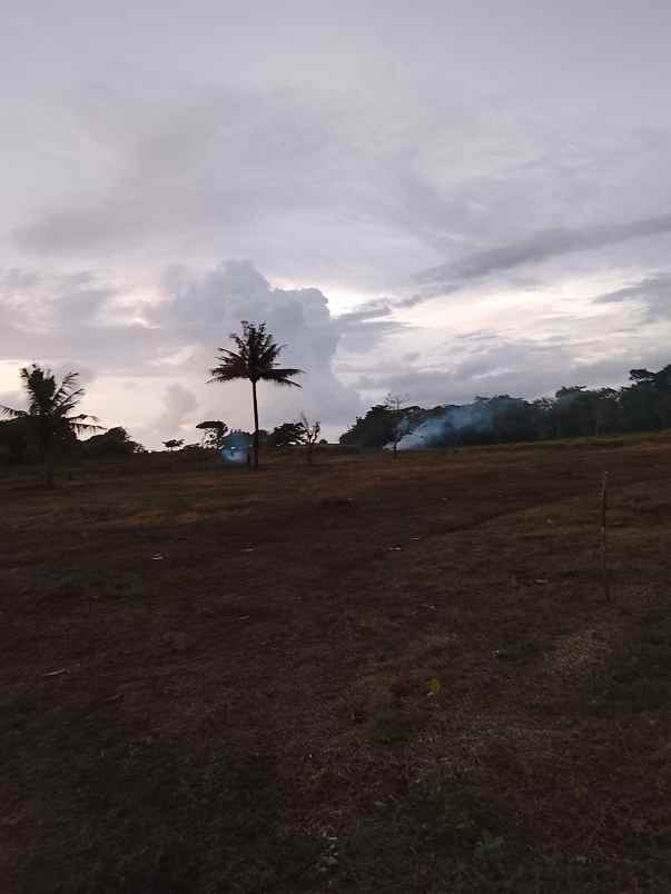 dijual tanah dekat pantai dan kampung