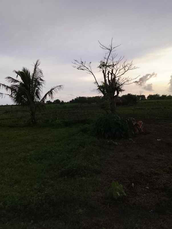 dijual tanah dekat pantai dan kampung