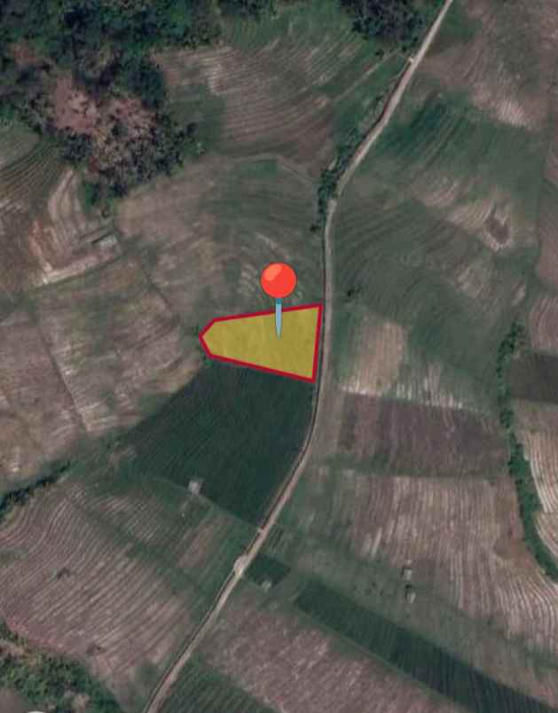 dijual tanah desa antap kec selemadeg