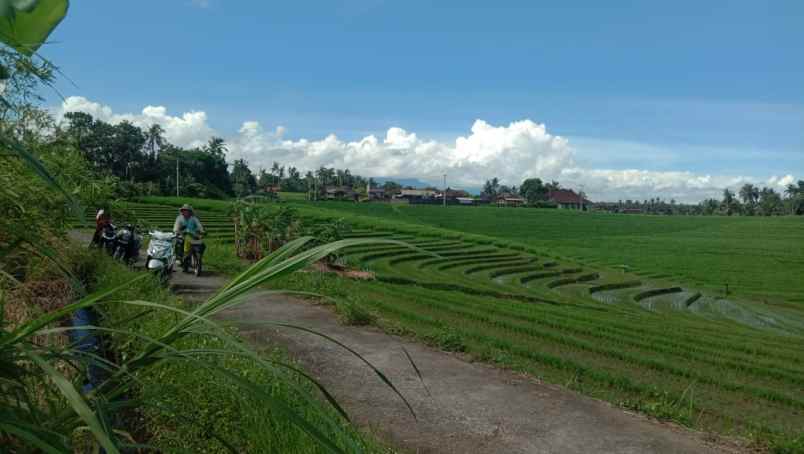 dijual tanah desa antap kec selemadeg