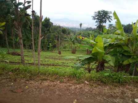 dijual tanah desa cilame kecamatan