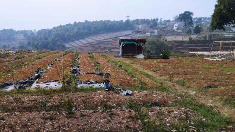 dijual tanah desa jambudipa kecamatan