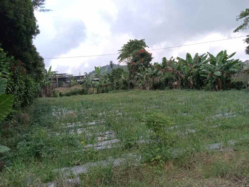 dijual tanah desa palasari kecamatan