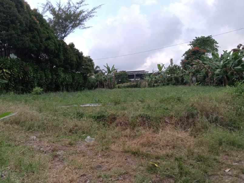 dijual tanah desa palasari kecamatan