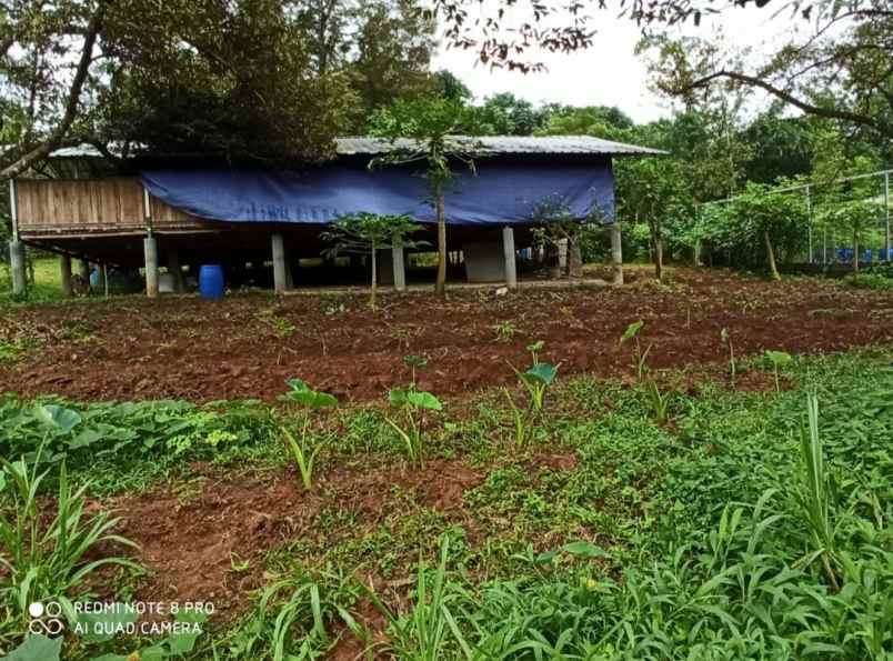 dijual tanah desa selawangi tanjungsari