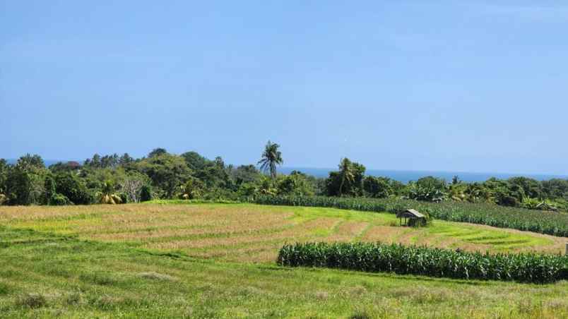 dijual tanah desa soka kec selemadeg