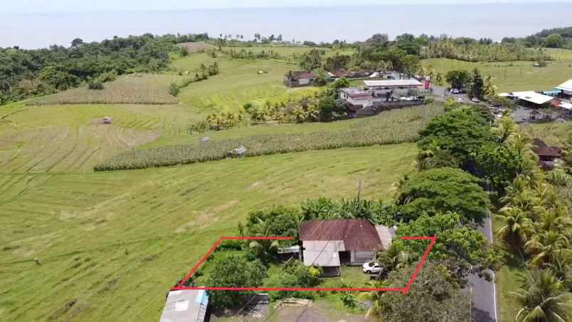 dijual tanah desa soka kec selemadeg