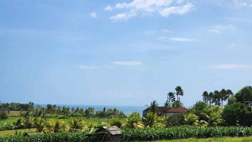 dijual tanah desa soka kec selemadeg