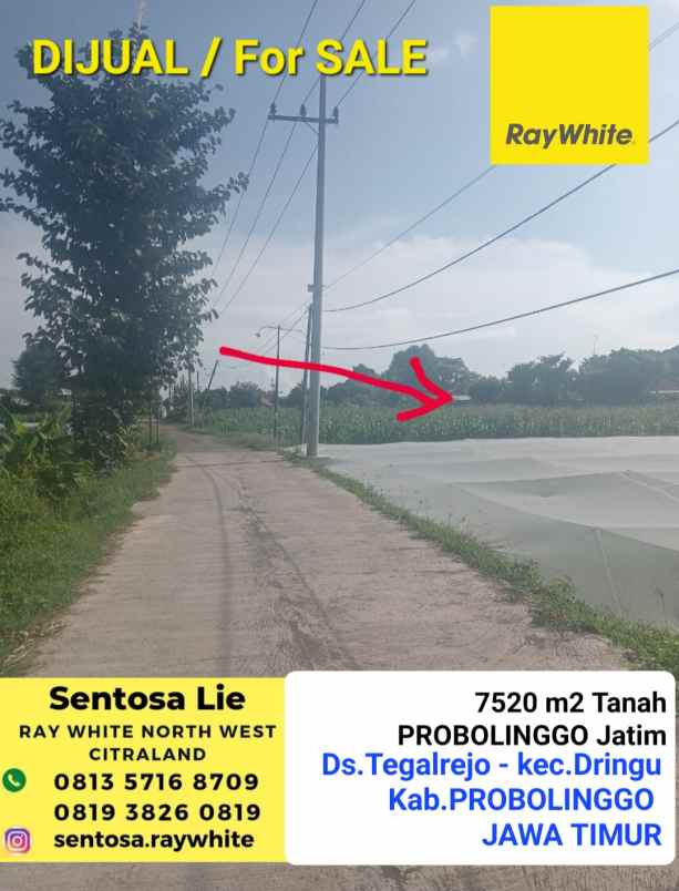 dijual tanah desa tegal rejo