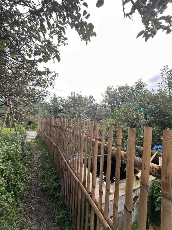 dijual tanah di kaki gunung semeru bromo