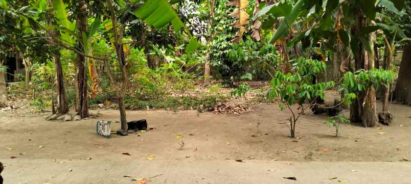 dijual tanah dijual tanah di colomadu