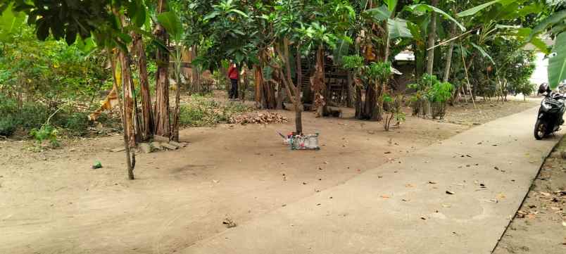 dijual tanah dijual tanah di colomadu