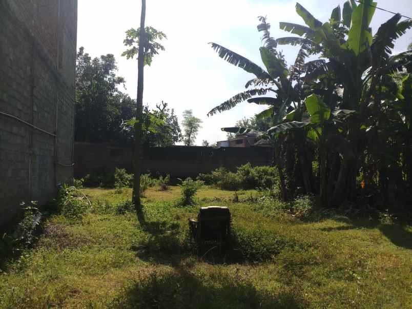 dijual tanah dijual tanah di desa tapan