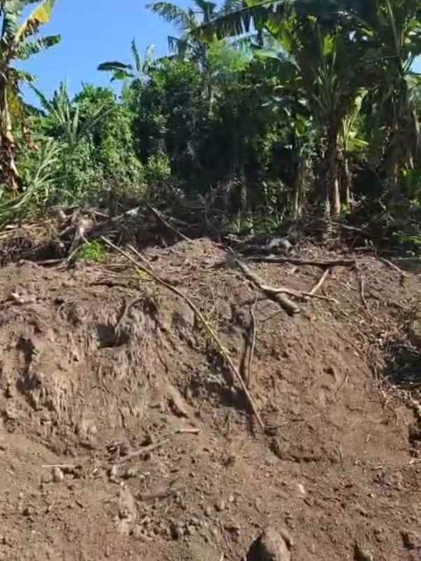 dijual tanah gianyar