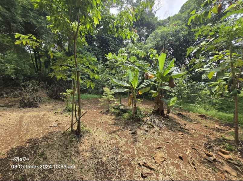 dijual tanah gunung putri kabupaten bogor