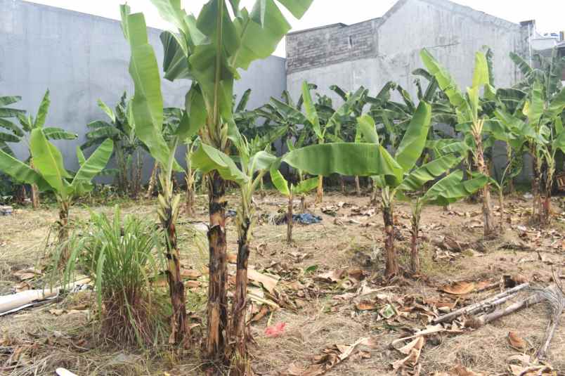 dijual tanah harapan indah 1 kota