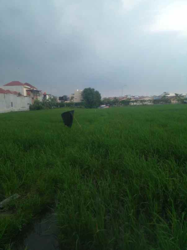 dijual tanah jalan pembangunan 1
