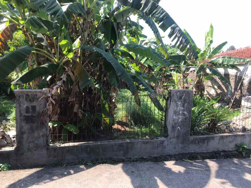 dijual tanah jalan raya beji timur