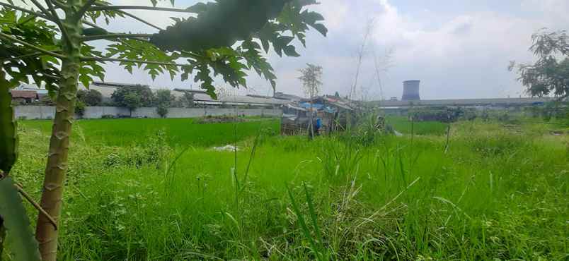 dijual tanah jalan sukamenak