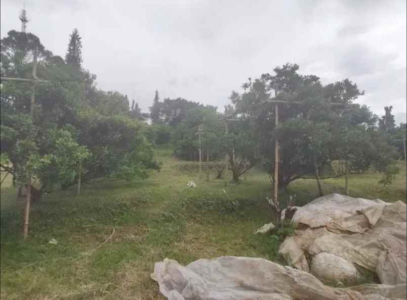 dijual tanah ji dr setiabudi kec