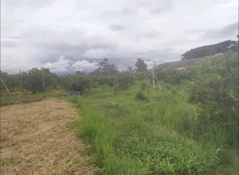 dijual tanah ji dr setiabudi kec