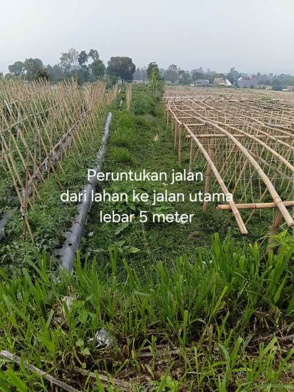dijual tanah jl h gofur cilame