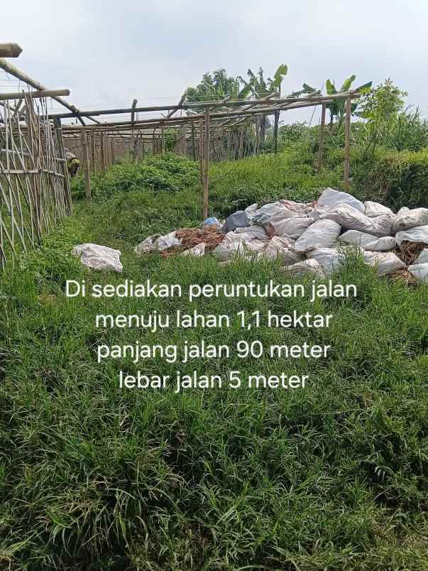 dijual tanah jl h gofur cilame