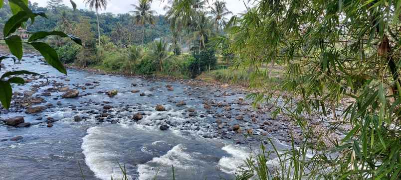 dijual tanah jl raya cemplang