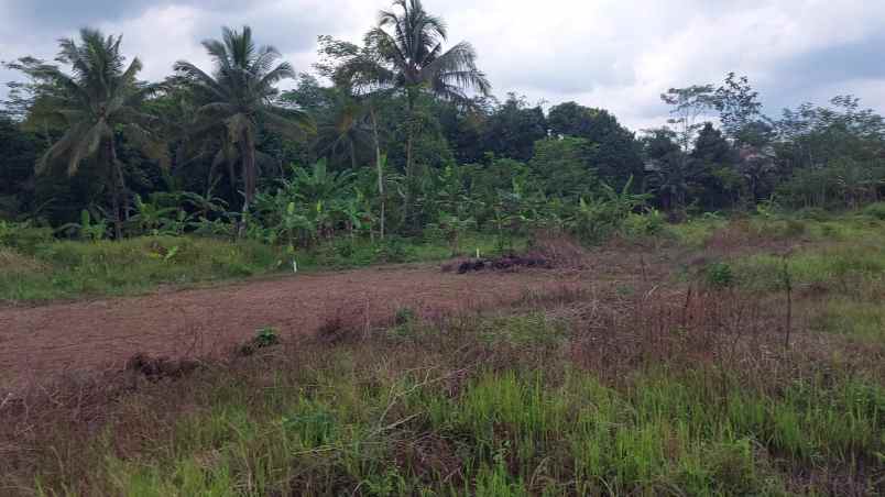 dijual tanah jl raya cemplang