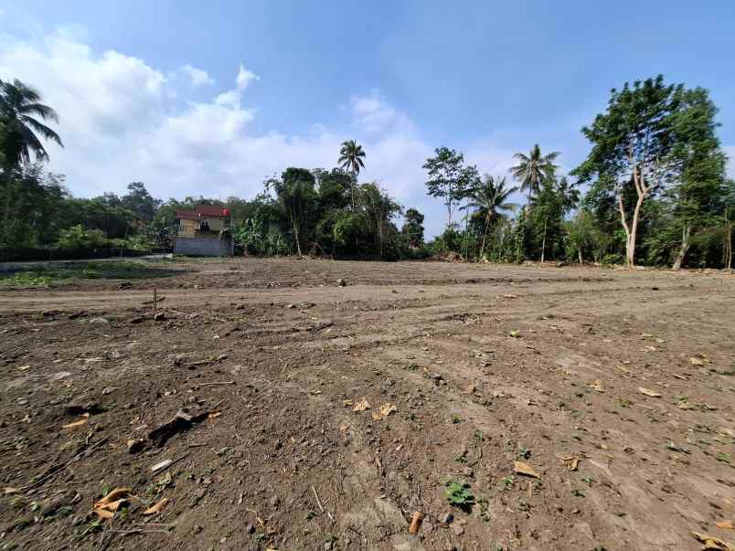 dijual tanah kadisono margorejo tempel