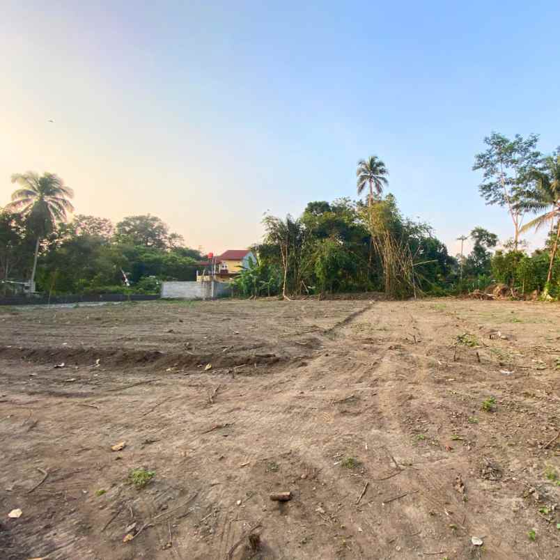 dijual tanah kadisono margorejo tempel