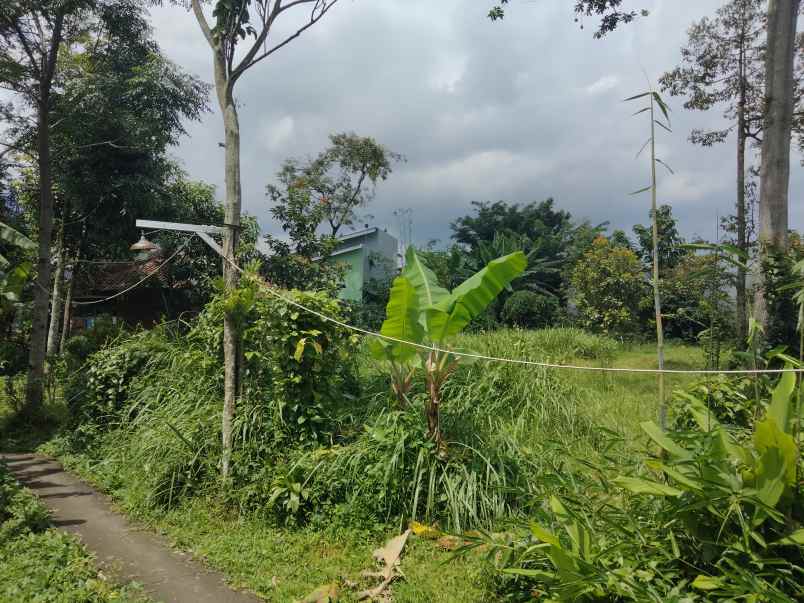 dijual tanah kaliaren