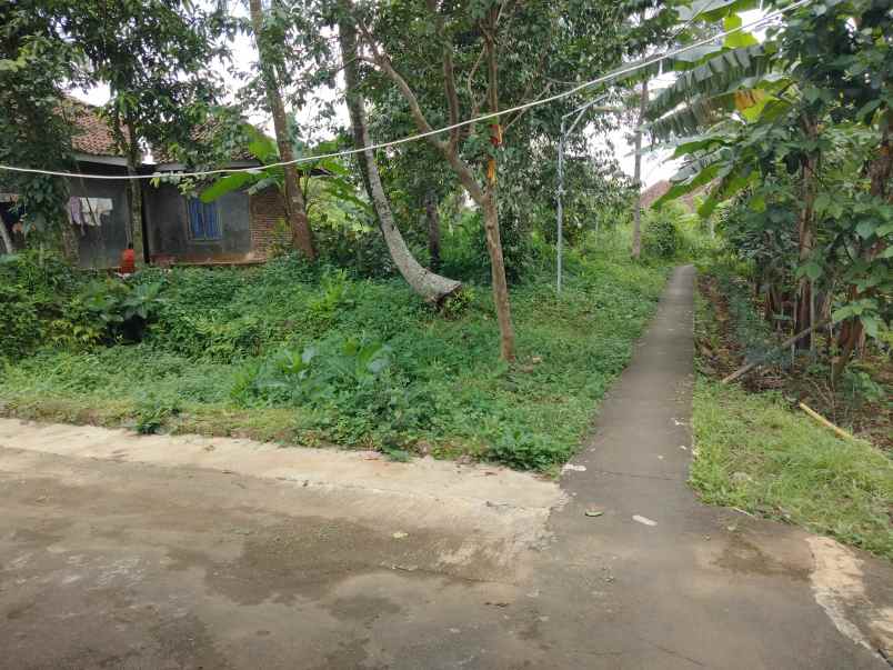 dijual tanah kaliaren