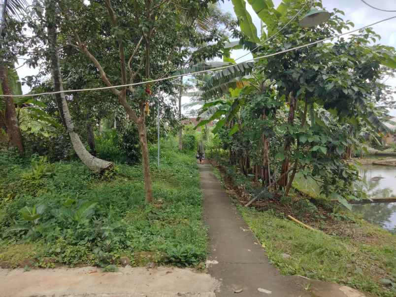 dijual tanah kaliaren