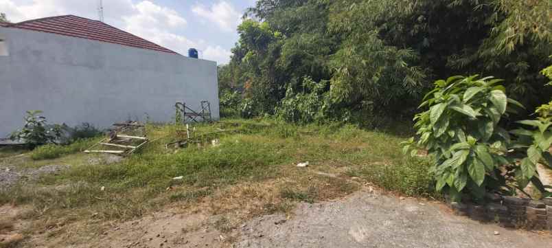 dijual tanah kalitirto berbah murahh