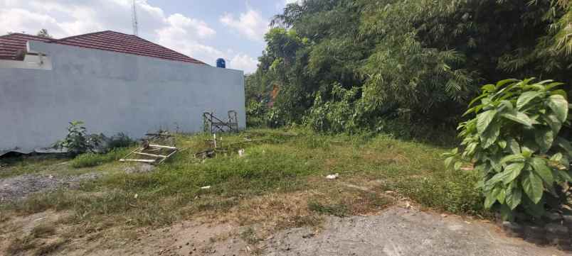 dijual tanah kalitirto berbah murahh