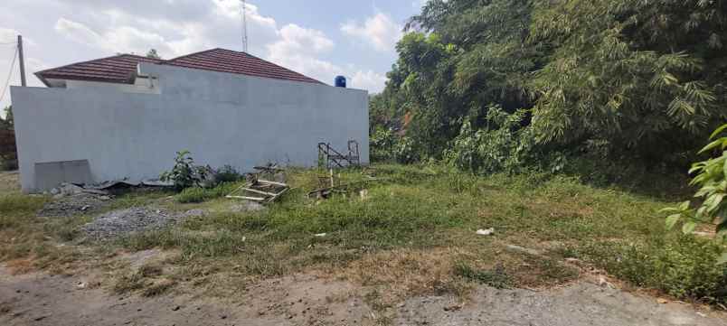 dijual tanah kalitirto berbah murahh