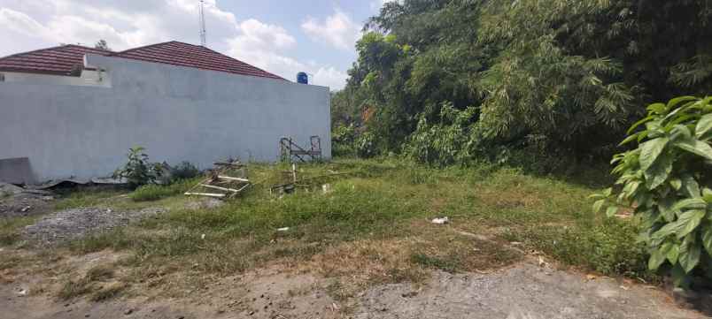 dijual tanah kalitirto berbah murahh