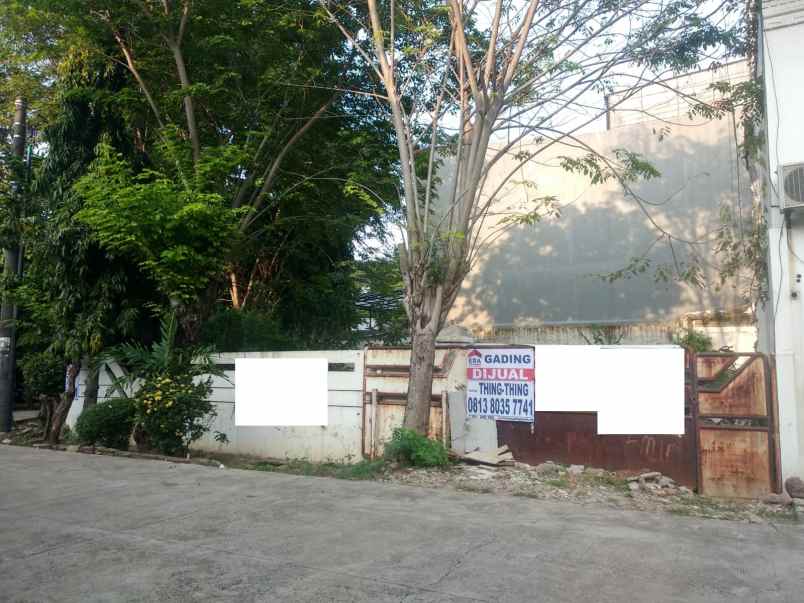 dijual tanah kelapa hibrida kelapa gading