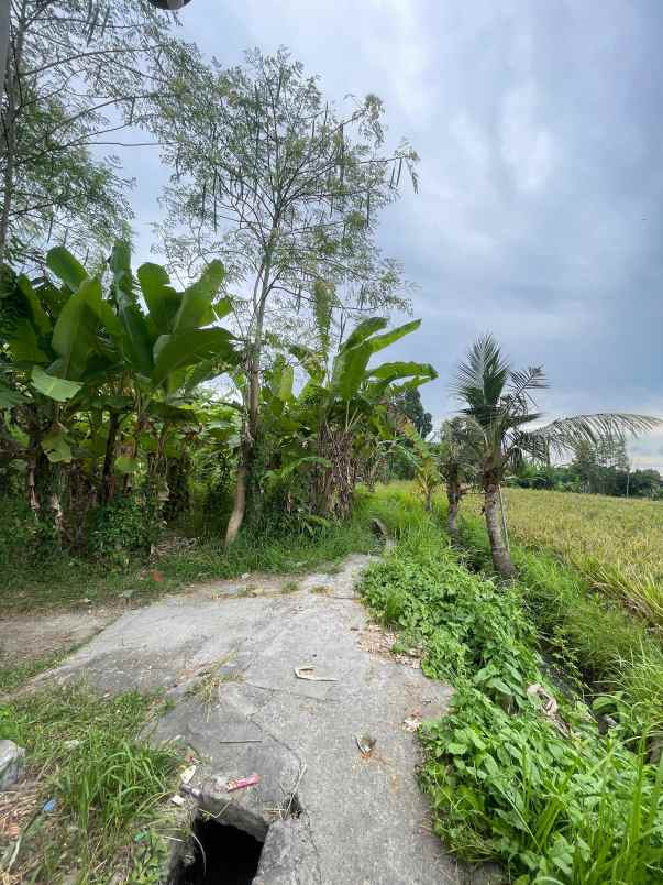 dijual tanah ketewel sukawati