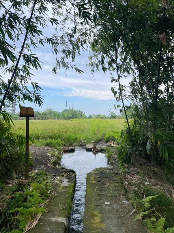 dijual tanah ketewel sukawati