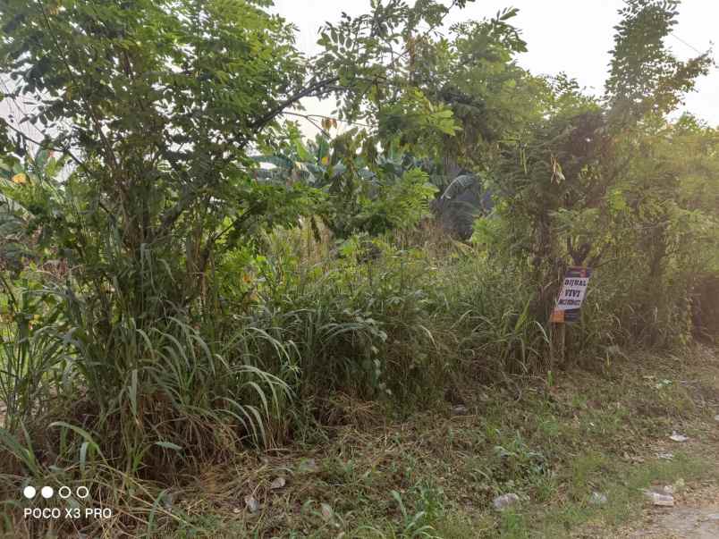 dijual tanah komersial di gunung sindur bogor