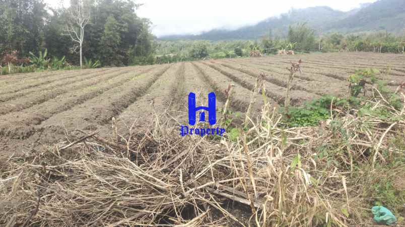 dijual tanah kosong di daerah tanjung barus berastagi