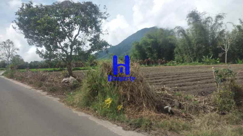 dijual tanah kosong di daerah tanjung barus berastagi